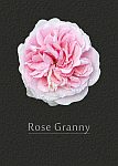 Rose Granny