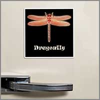 Dragon fly